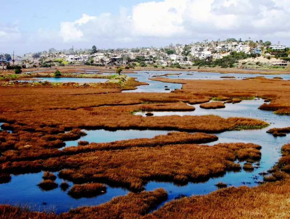 Marsh and lagoon waterways in Carlsbad